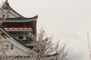 坐上JR東海本線，探尋戰國群雄的名城風華！多功能客製化卡套設計打造你的完美日本鐵道遊！